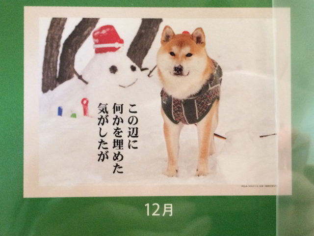 母が買ってきた犬川柳カレンダー 柴犬の子犬どんぐりと絵描き