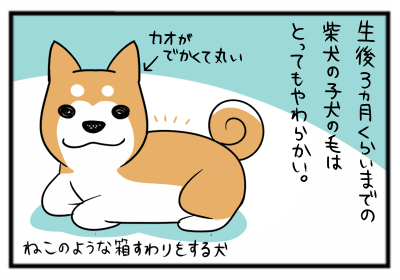 柴犬とマンガ イラスト 22 柴犬の子犬どんぐりと絵描き