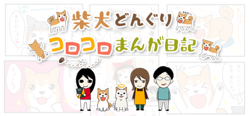shibainudonguri-640x300.png